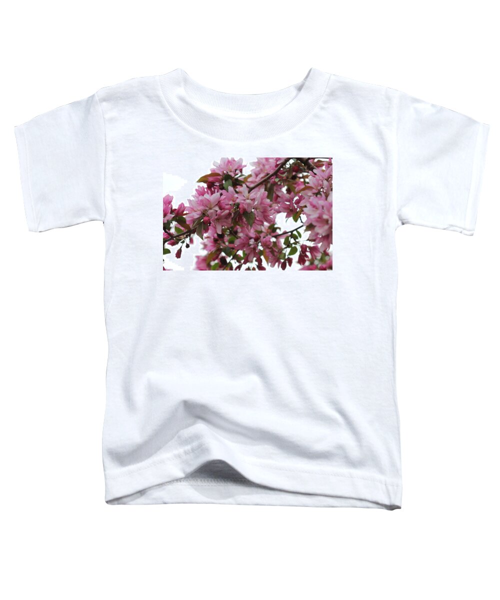Landscape Toddler T-Shirt featuring the photograph Crabapple Blossoms #3 by Donna L Munro