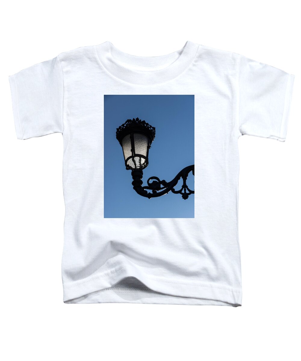 Georgia Mizuleva Toddler T-Shirt featuring the photograph Crowned Lantern - Left by Georgia Mizuleva