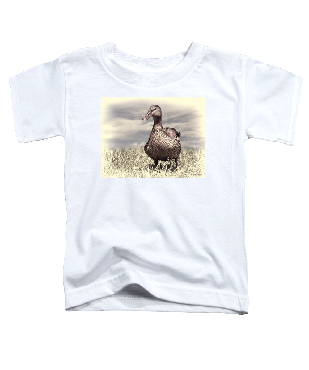 Duck Toddler T-Shirt featuring the photograph Dabbling Duck by Bonnie Willis