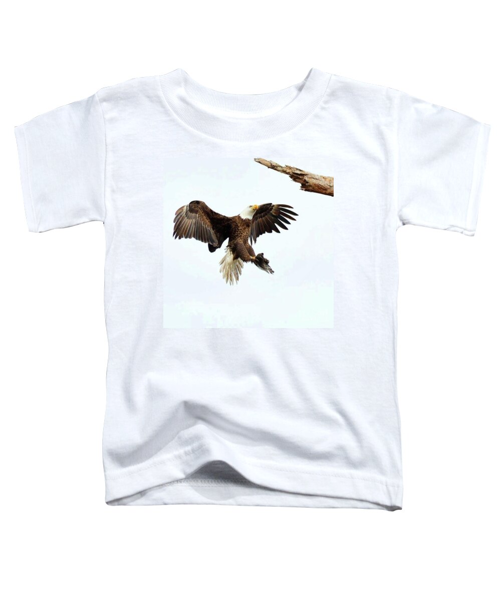 Bald Eagle Toddler T-Shirt featuring the photograph Dad provider by Liz Grindstaff