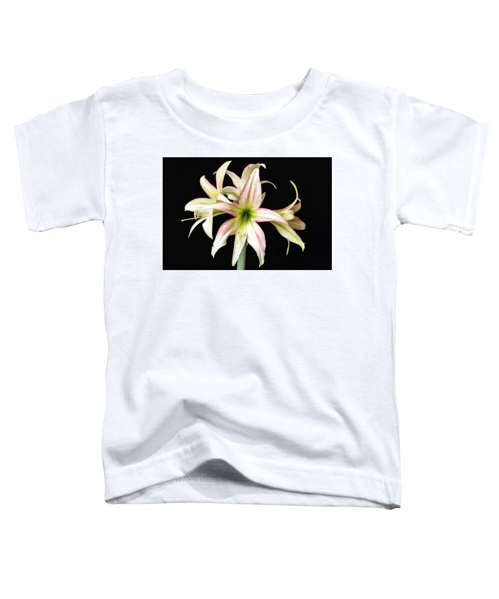 Flower Toddler T-Shirt featuring the photograph Dainty and soft. by Usha Peddamatham