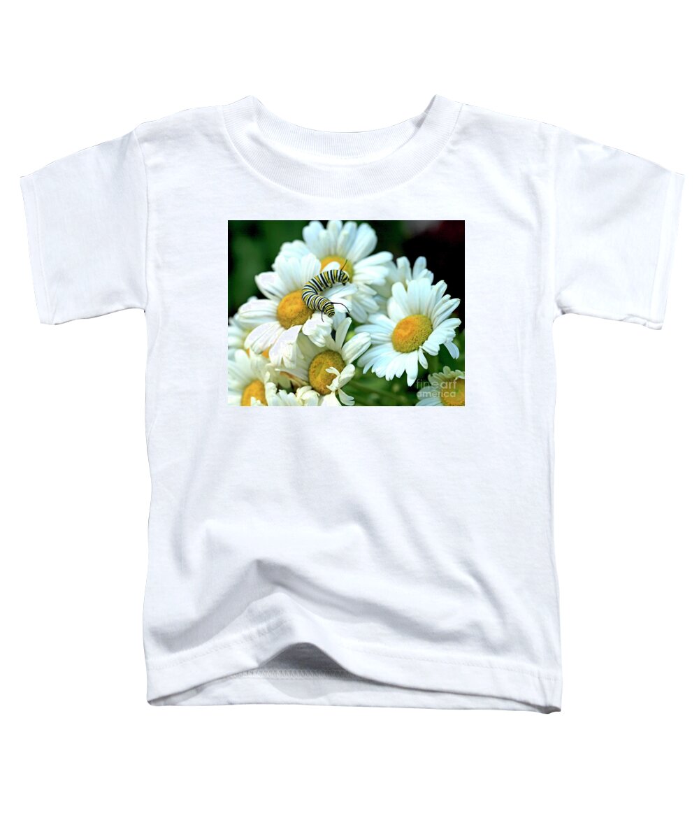 Daisy Photo Toddler T-Shirt featuring the photograph Daisy and Monarch Caterpillar Photo by Luana K Perez