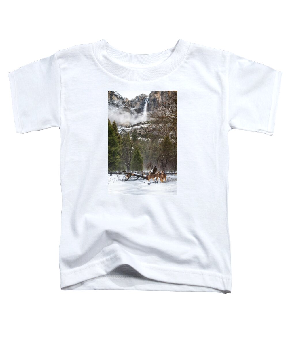 Yosemite Toddler T-Shirt featuring the photograph Deer of Winter by Anthony Michael Bonafede