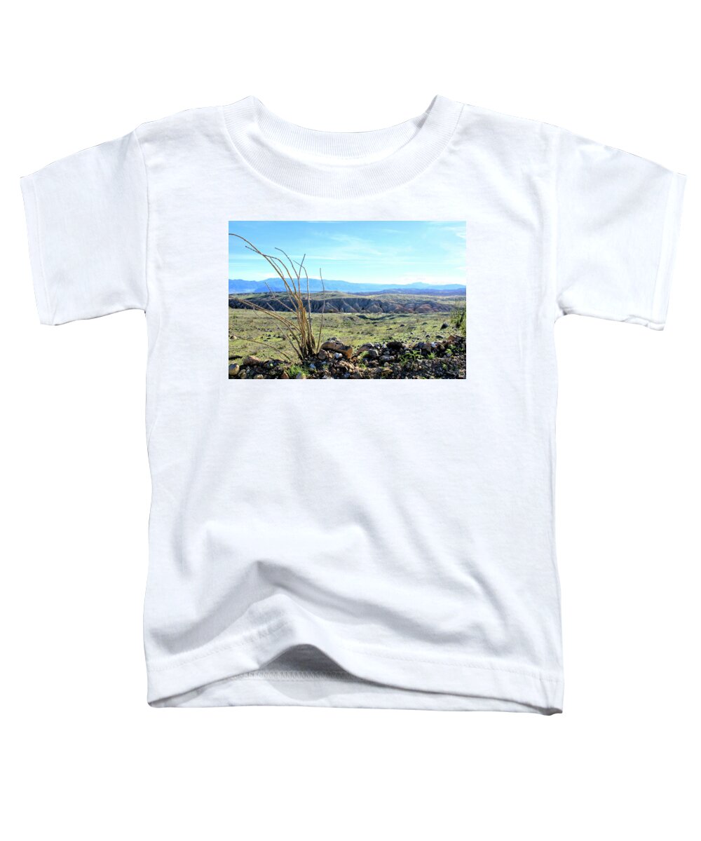 Anza Borrego Desert State Park Toddler T-Shirt featuring the photograph Desert After The Rains by Michelle Joseph-Long