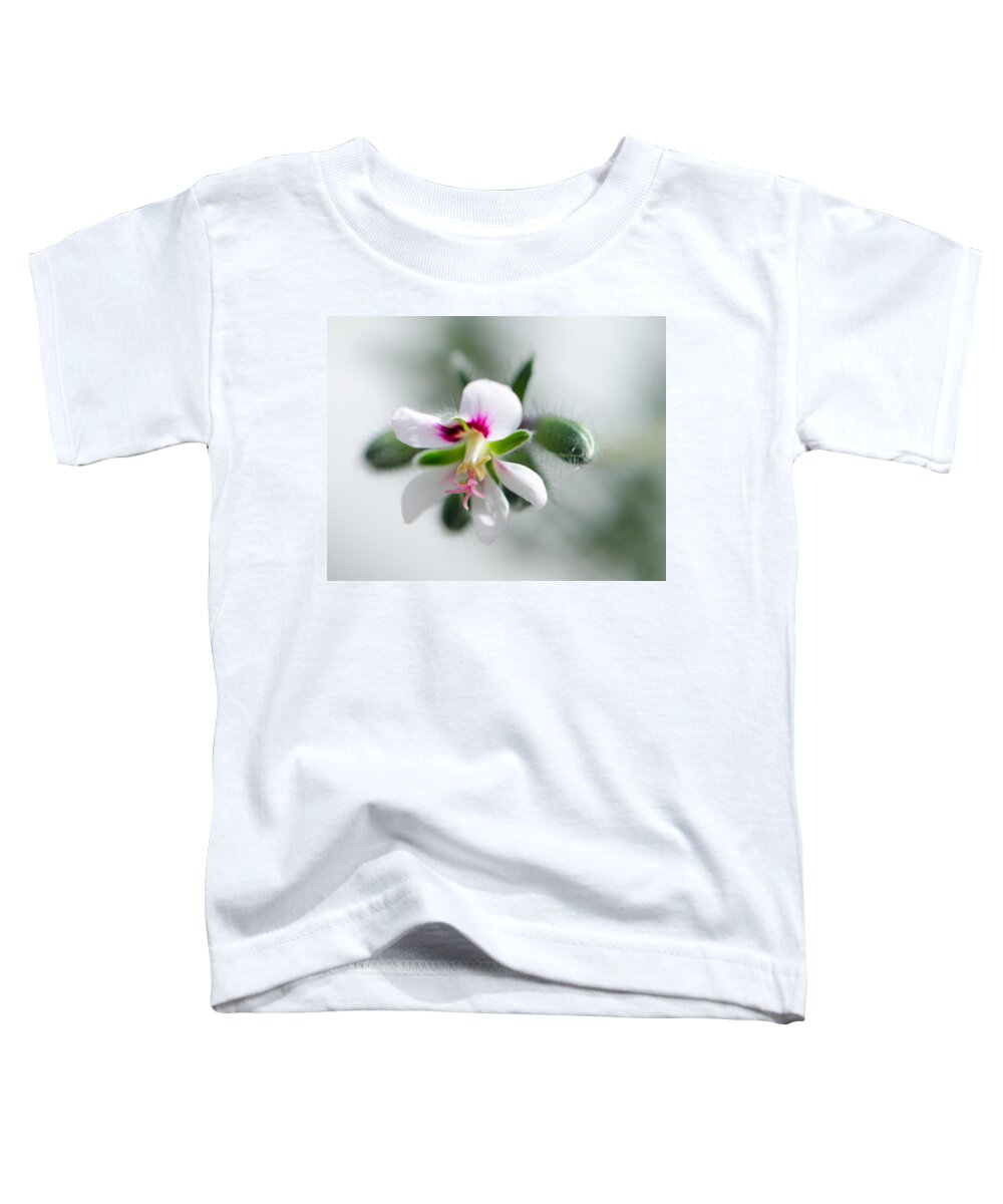 Flower Toddler T-Shirt featuring the photograph Details by Kristin Hatt