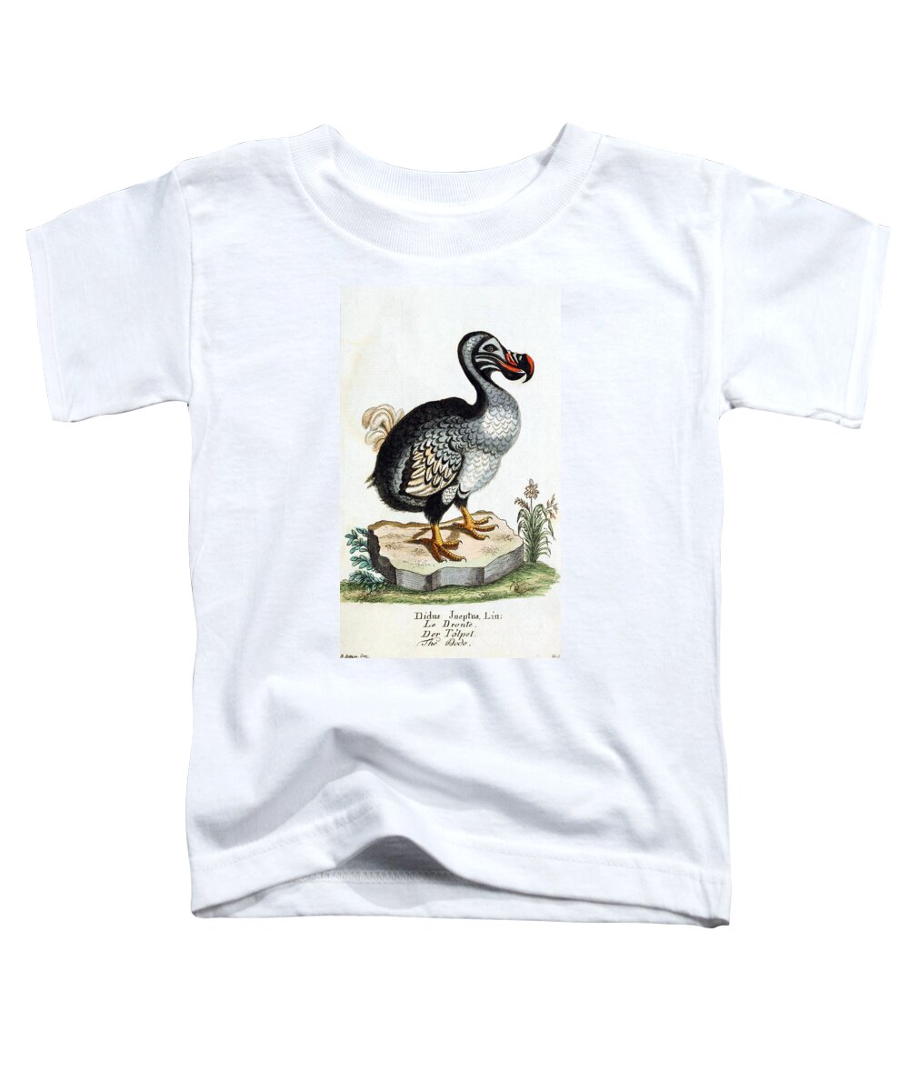 Dodo Toddler T-Shirt featuring the photograph Dodo Bird Raphus Cucullatus, Extinct by Biodiversity Heritage Library