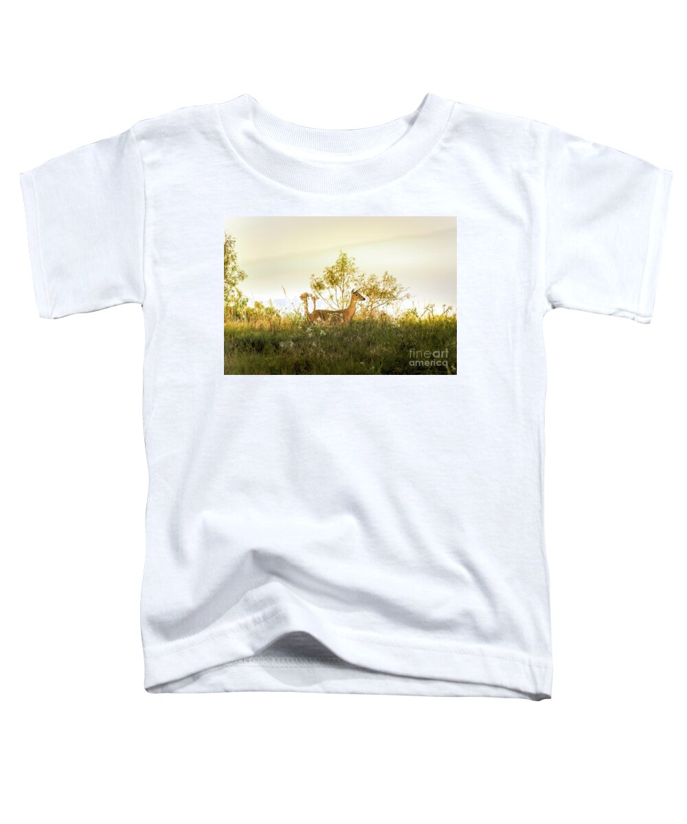 Animal Toddler T-Shirt featuring the photograph Doe On Sunlit Hill by Robert Frederick