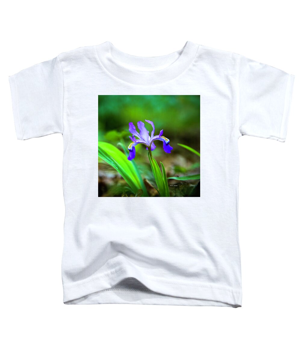 Iris Toddler T-Shirt featuring the photograph Dwarf Crested Iris by Dale R Carlson