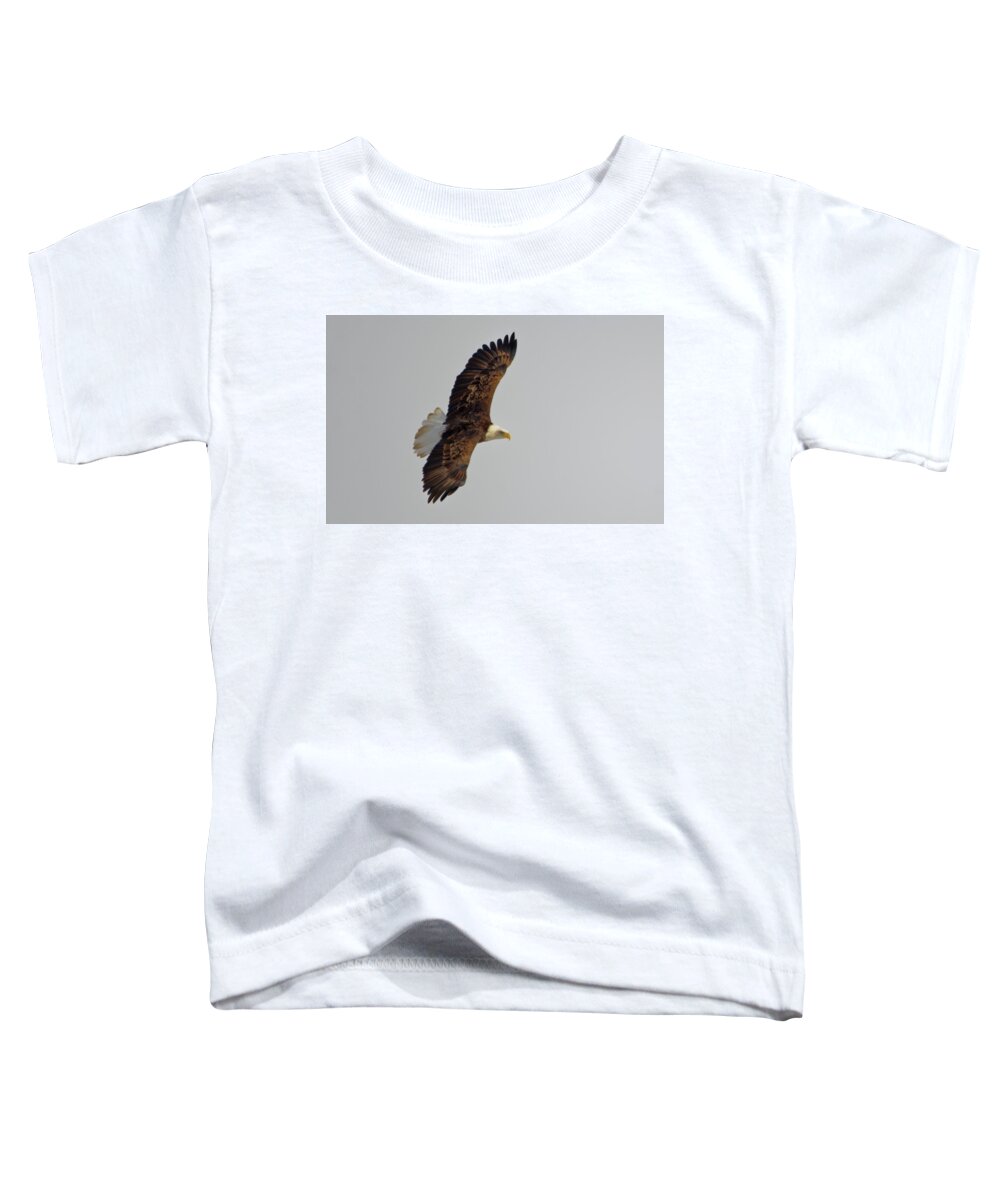 Bald Eagle Toddler T-Shirt featuring the photograph Eagle in flight by Peter Ponzio