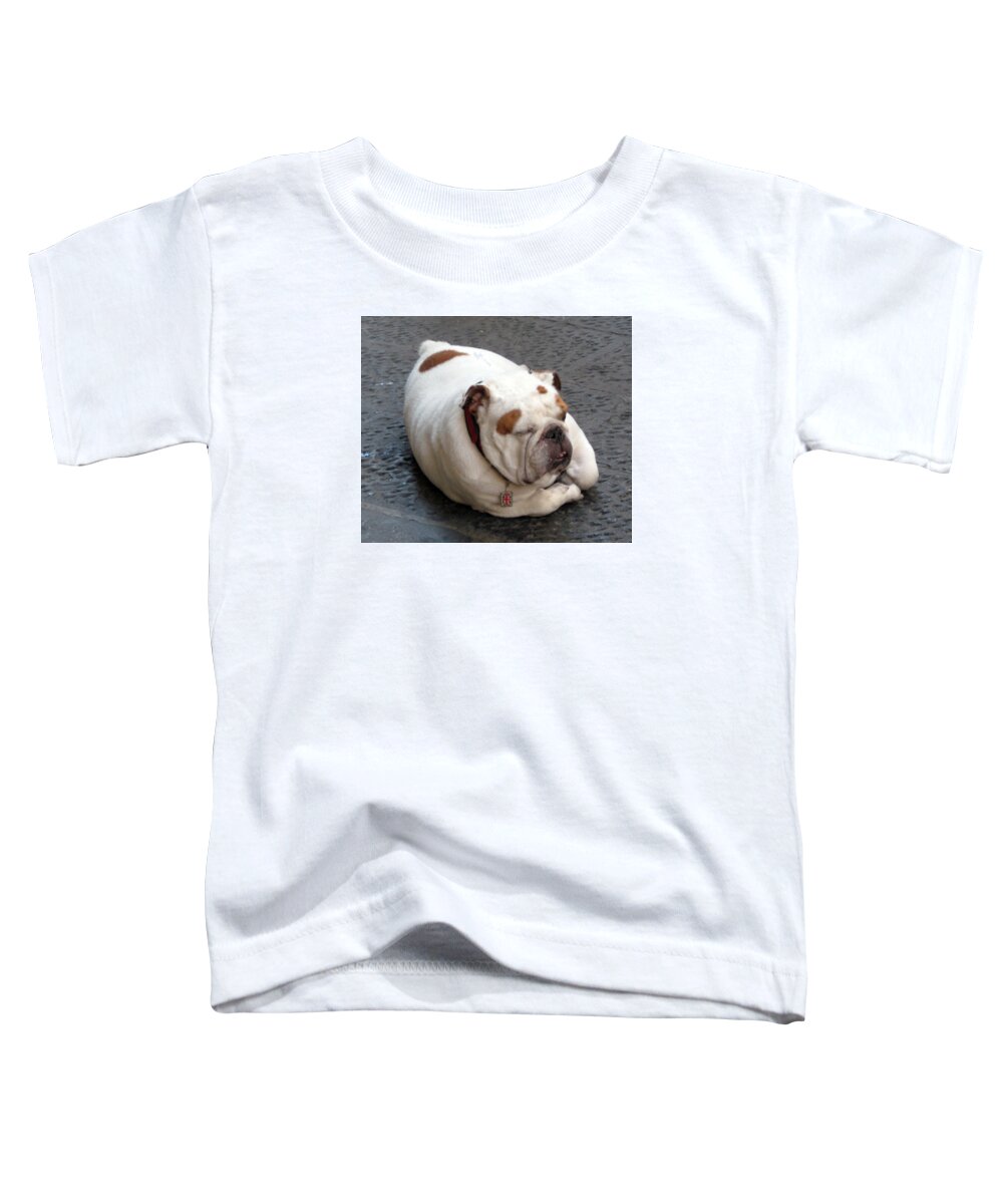 Florence Toddler T-Shirt featuring the painting Eduardo of Firenze dog by Lisa Boyd