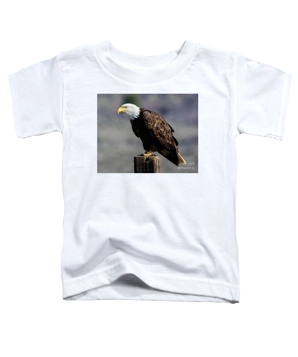 Bald Eagle Toddler T-Shirt featuring the photograph Eye of the Eagle by Michael Dawson