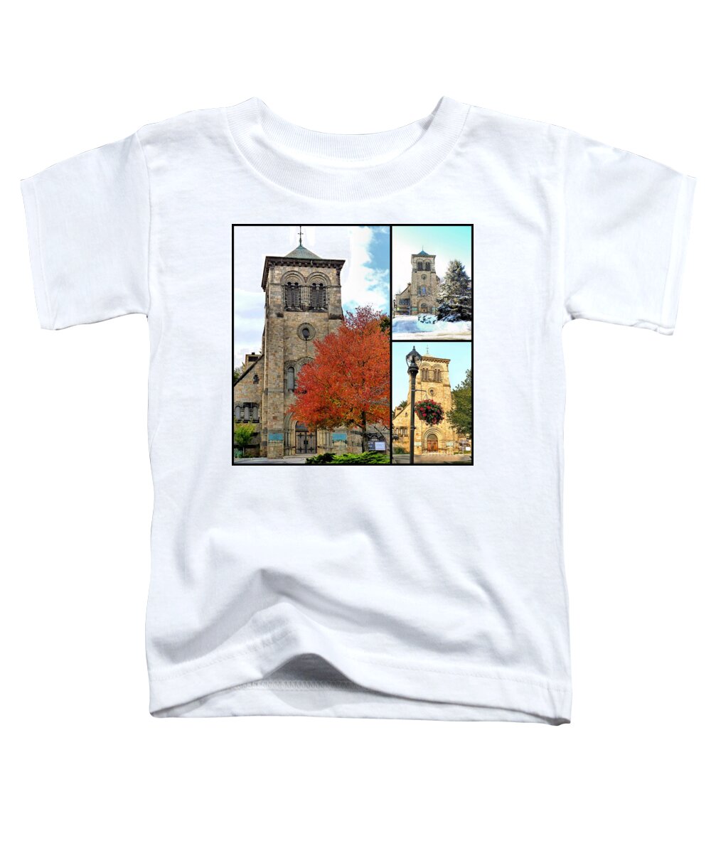 Seasons Toddler T-Shirt featuring the photograph Fall Winter Summer by Janice Drew