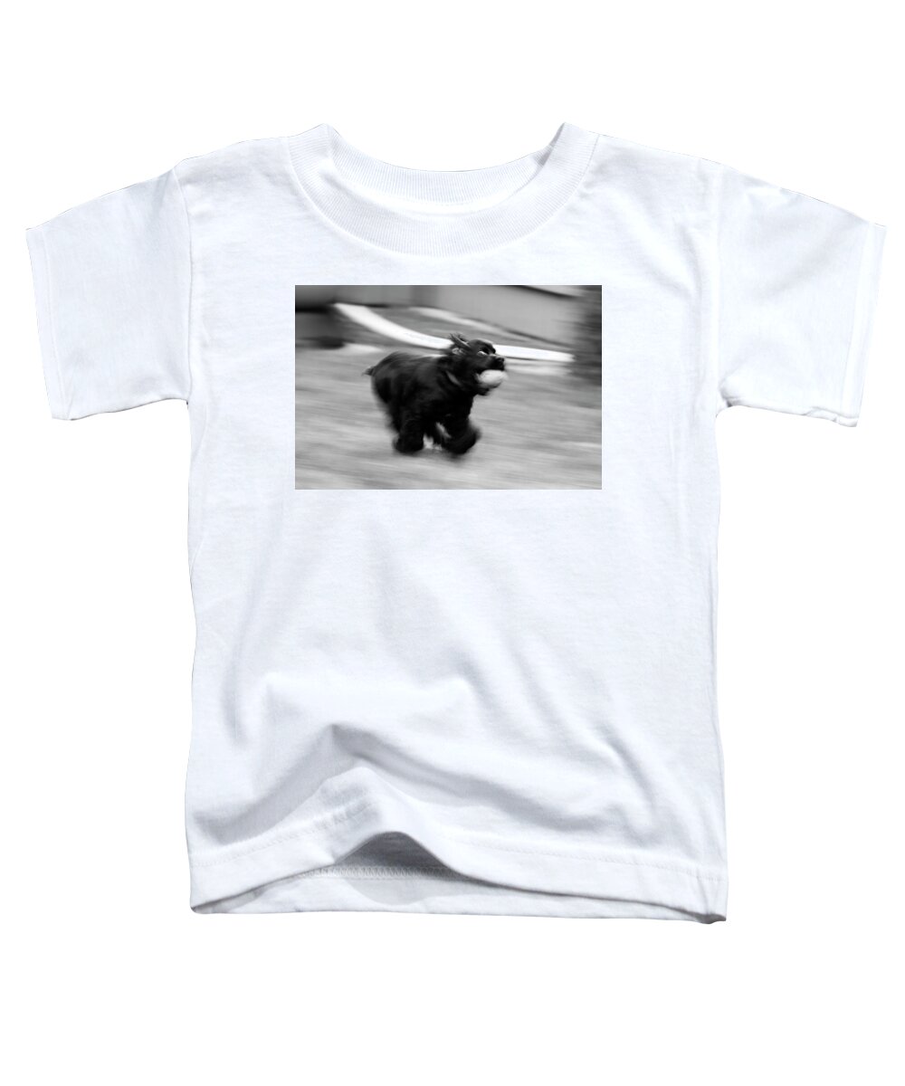 Dog Toddler T-Shirt featuring the photograph Fast Dog by David Stasiak