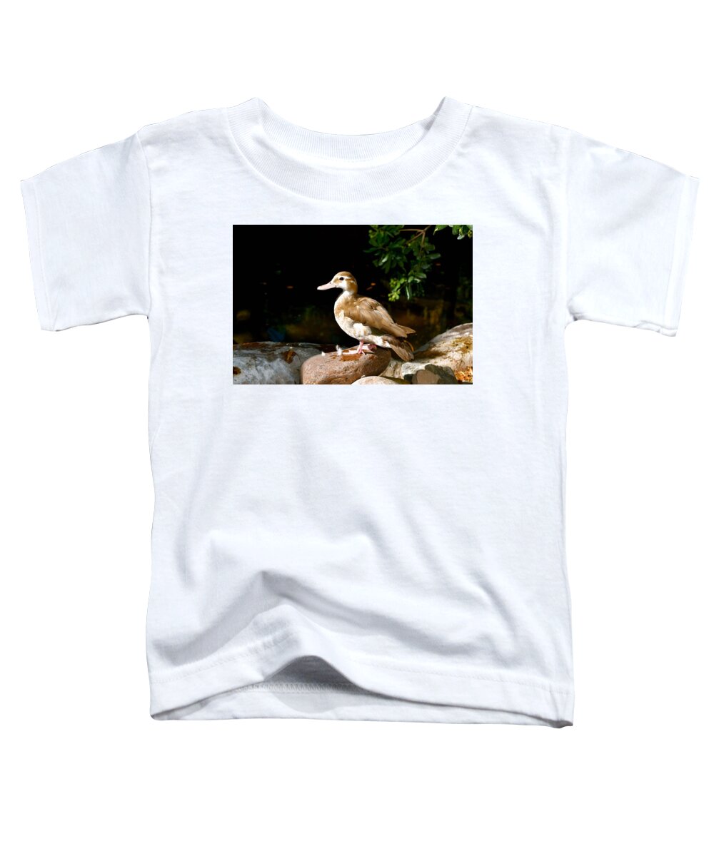 Duck Toddler T-Shirt featuring the photograph Feathers by Melisa Elliott