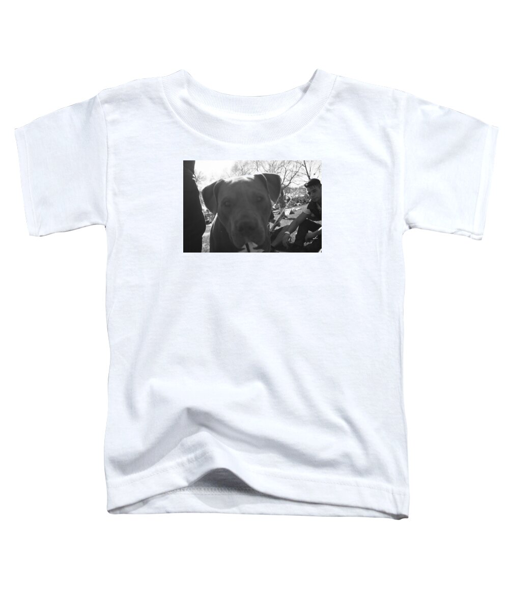 Dog Toddler T-Shirt featuring the photograph Felix by J C
