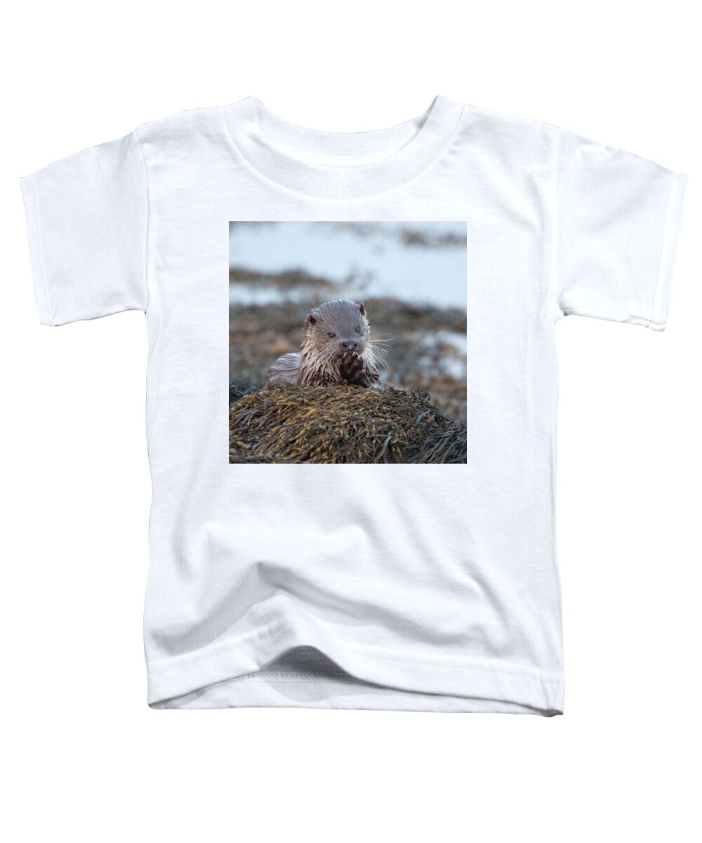 Otter Toddler T-Shirt featuring the photograph Female Otter Eating by Pete Walkden