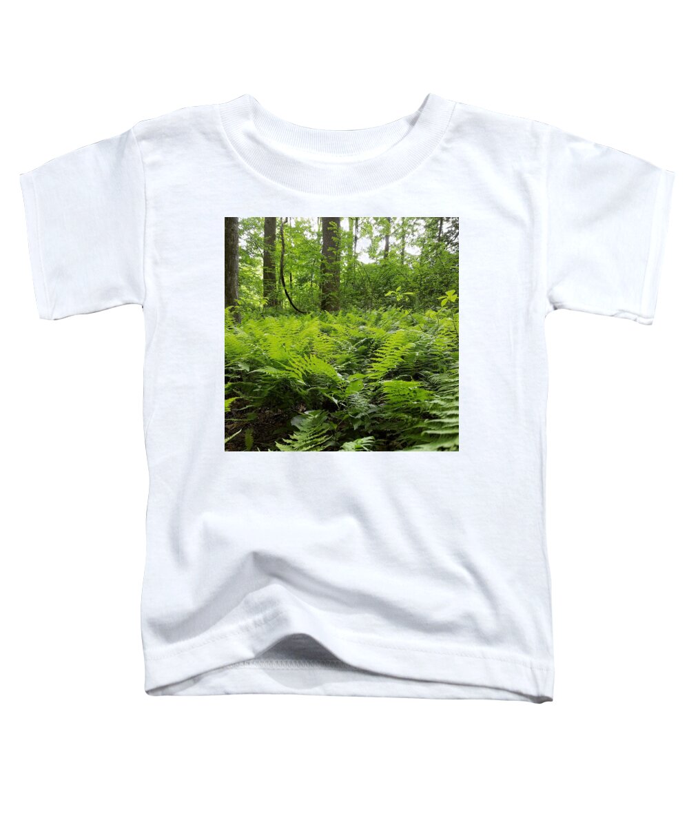 Ferns Toddler T-Shirt featuring the photograph Fern Woods by Vic Ritchey