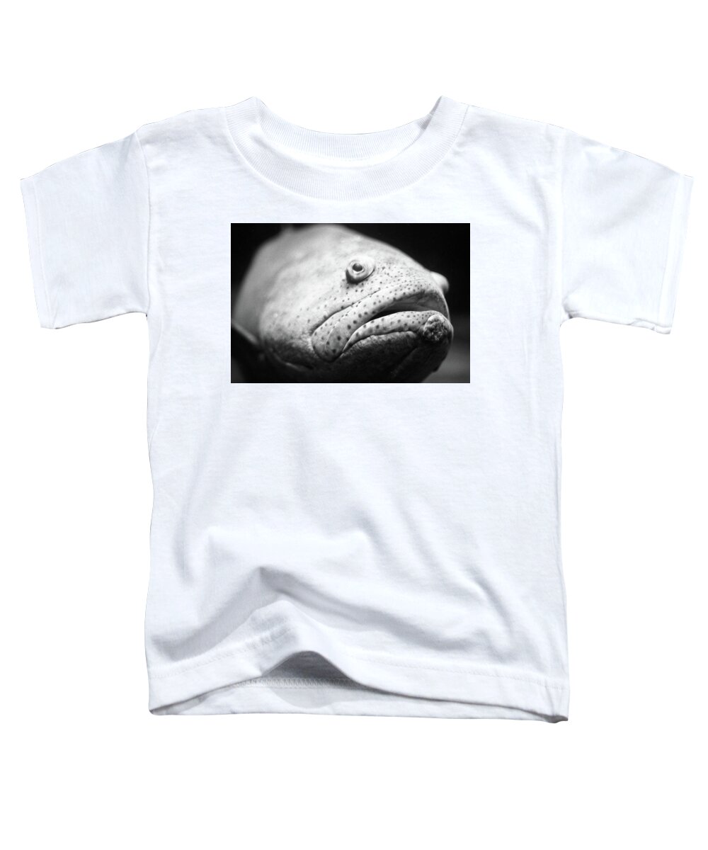 Fine Art Toddler T-Shirt featuring the photograph Fish Face by Frank DiMarco