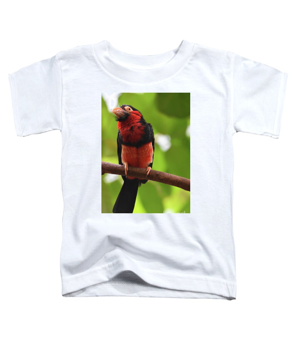 Bearded-barbet Toddler T-Shirt featuring the photograph Fluffy Red and Black Feathers on a Bearded Barbet by DejaVu Designs