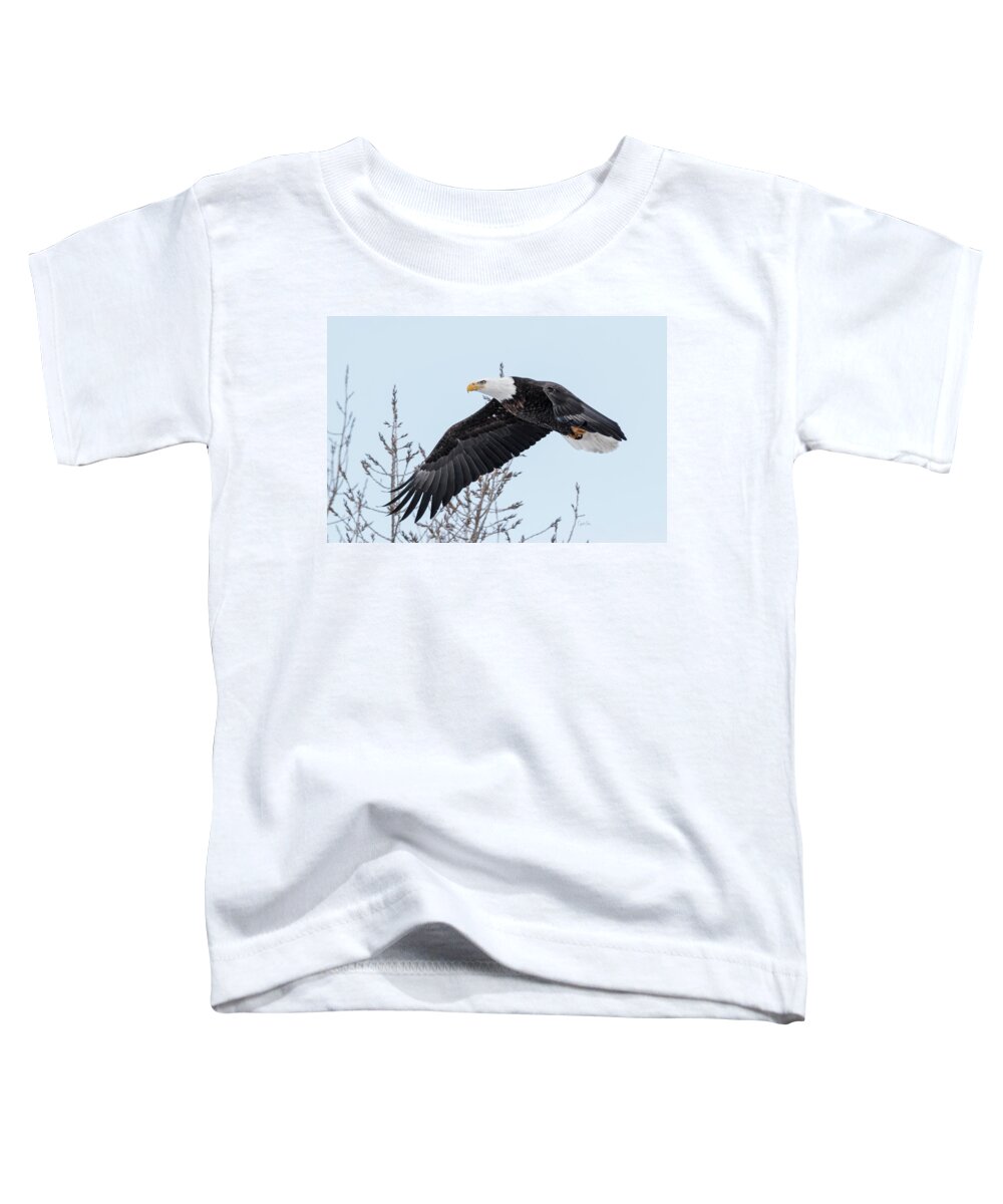 Eagle Toddler T-Shirt featuring the photograph Flying by Crystal Socha