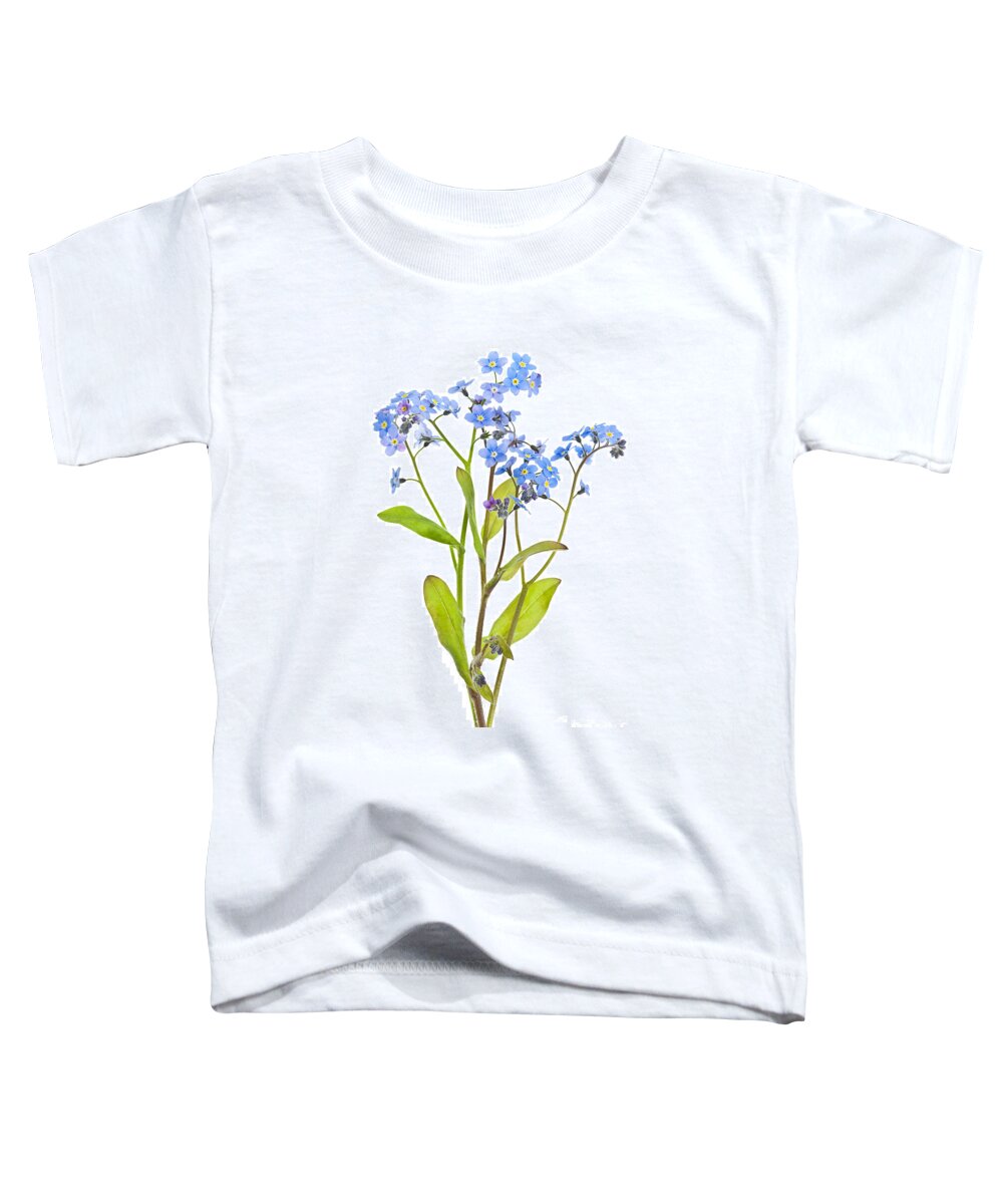 Forget-me-nots Toddler T-Shirt featuring the photograph Forget-me-not flowers on white by Elena Elisseeva