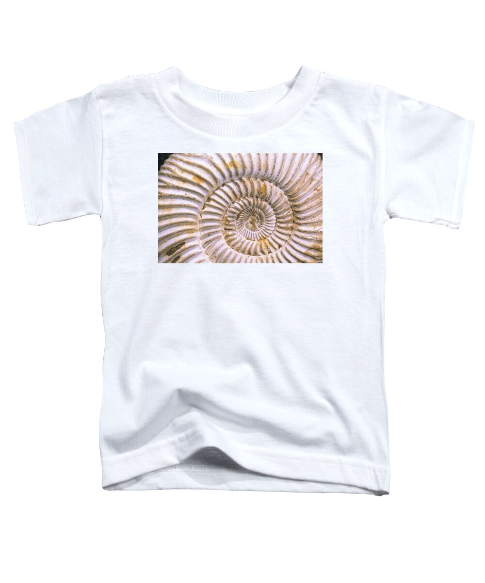 Mp Toddler T-Shirt featuring the photograph Fossil Of Ammonite, Madagascar by Pete Oxford