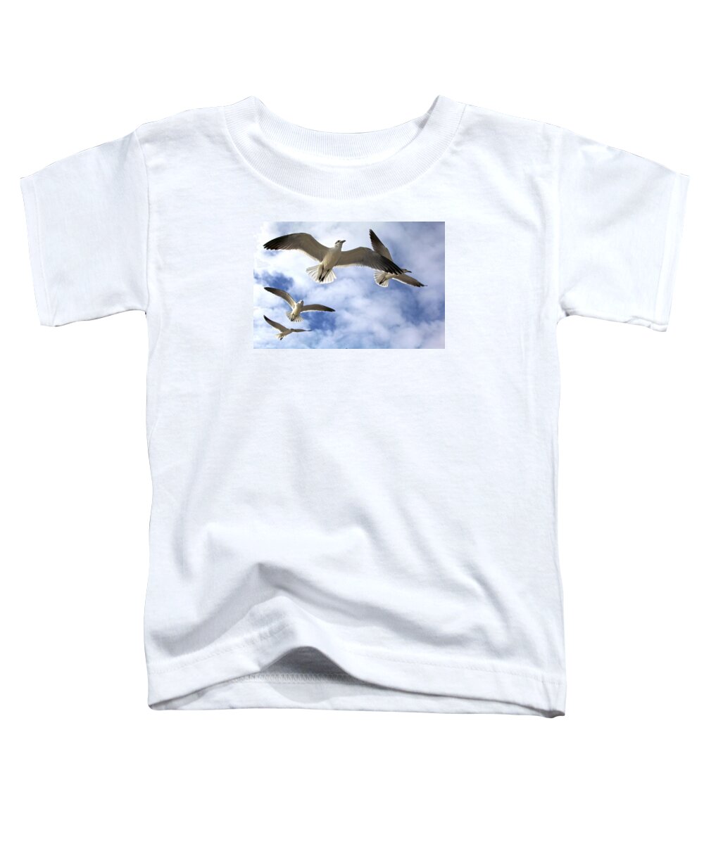 Gull Toddler T-Shirt featuring the photograph Four Gulls by Robert Och