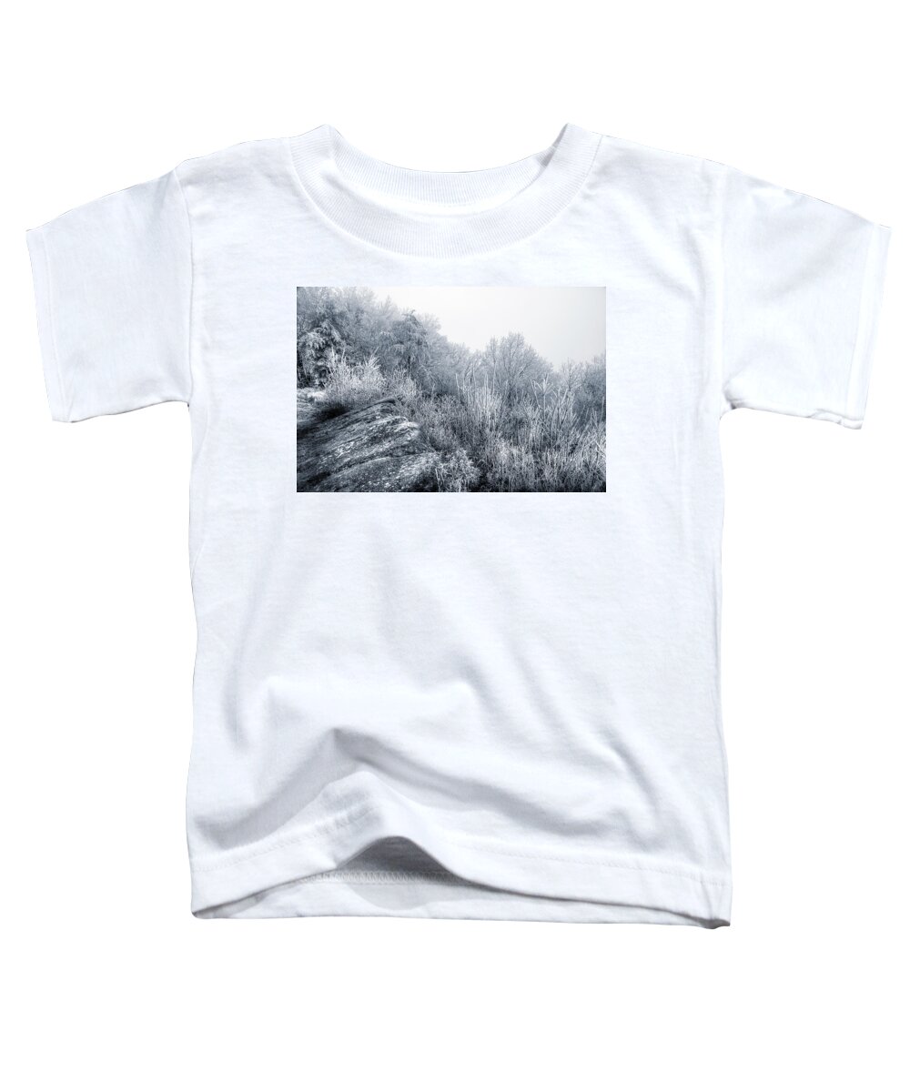 Frost Toddler T-Shirt featuring the photograph Frost At The Top by Mike Eingle