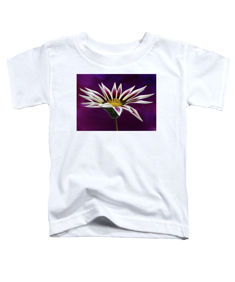 Gazania Toddler T-Shirt featuring the photograph Gazania by Shirley Mitchell