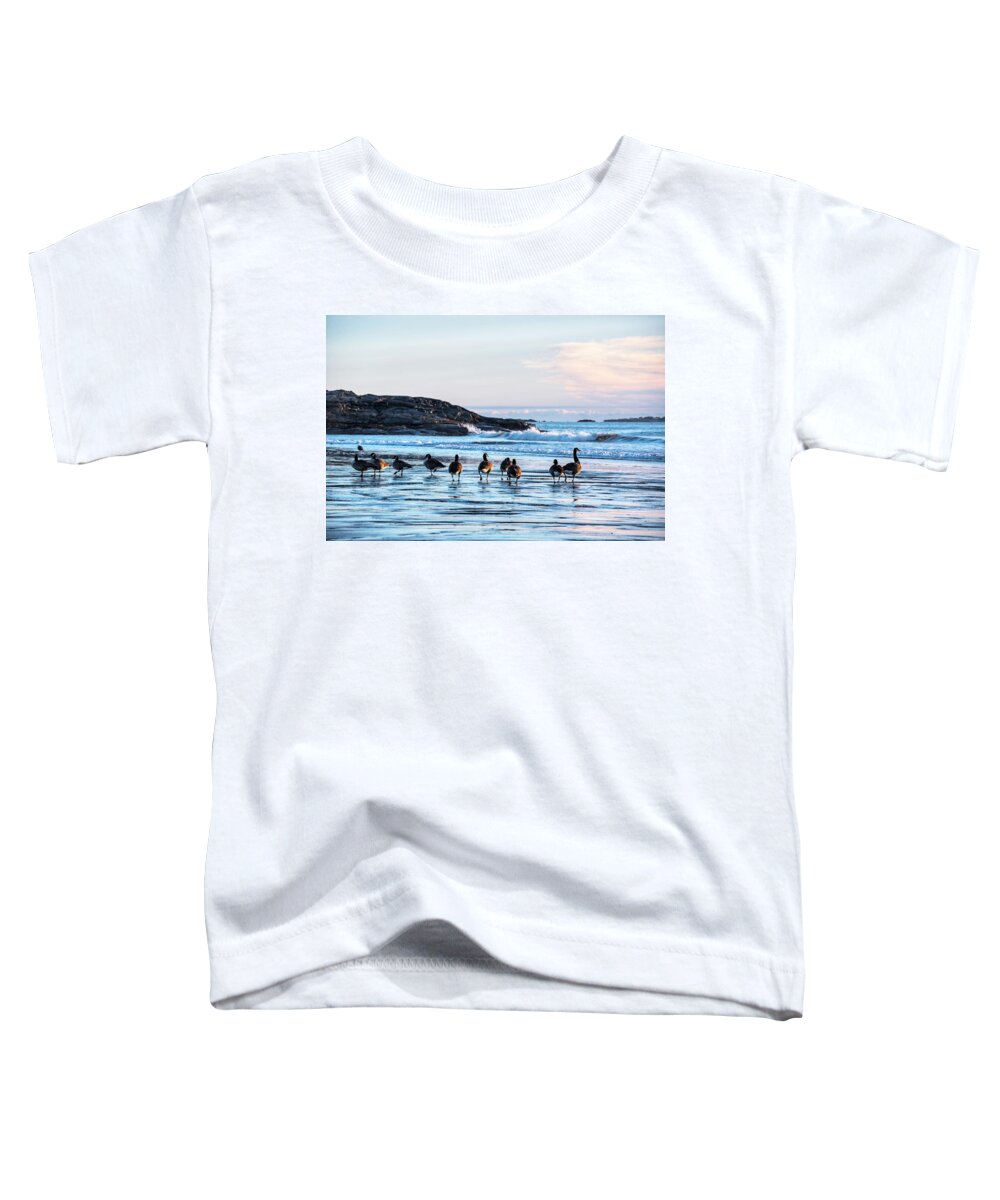 Geese Toddler T-Shirt featuring the photograph Geese congregating on Preston Beach Marblehead Massachusetts Sunrise by Toby McGuire