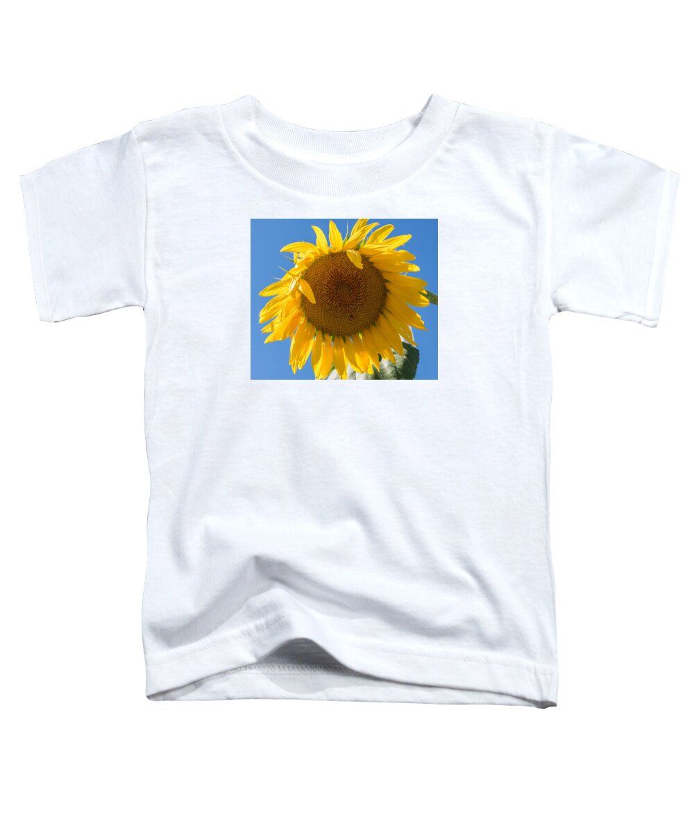 Terry D Photography Toddler T-Shirt featuring the photograph Giant Sunflower Blue Sky by Terry DeLuco