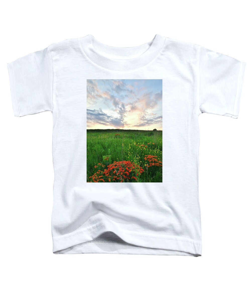 Illinois Toddler T-Shirt featuring the photograph Glacial Park Sunset by Ray Mathis