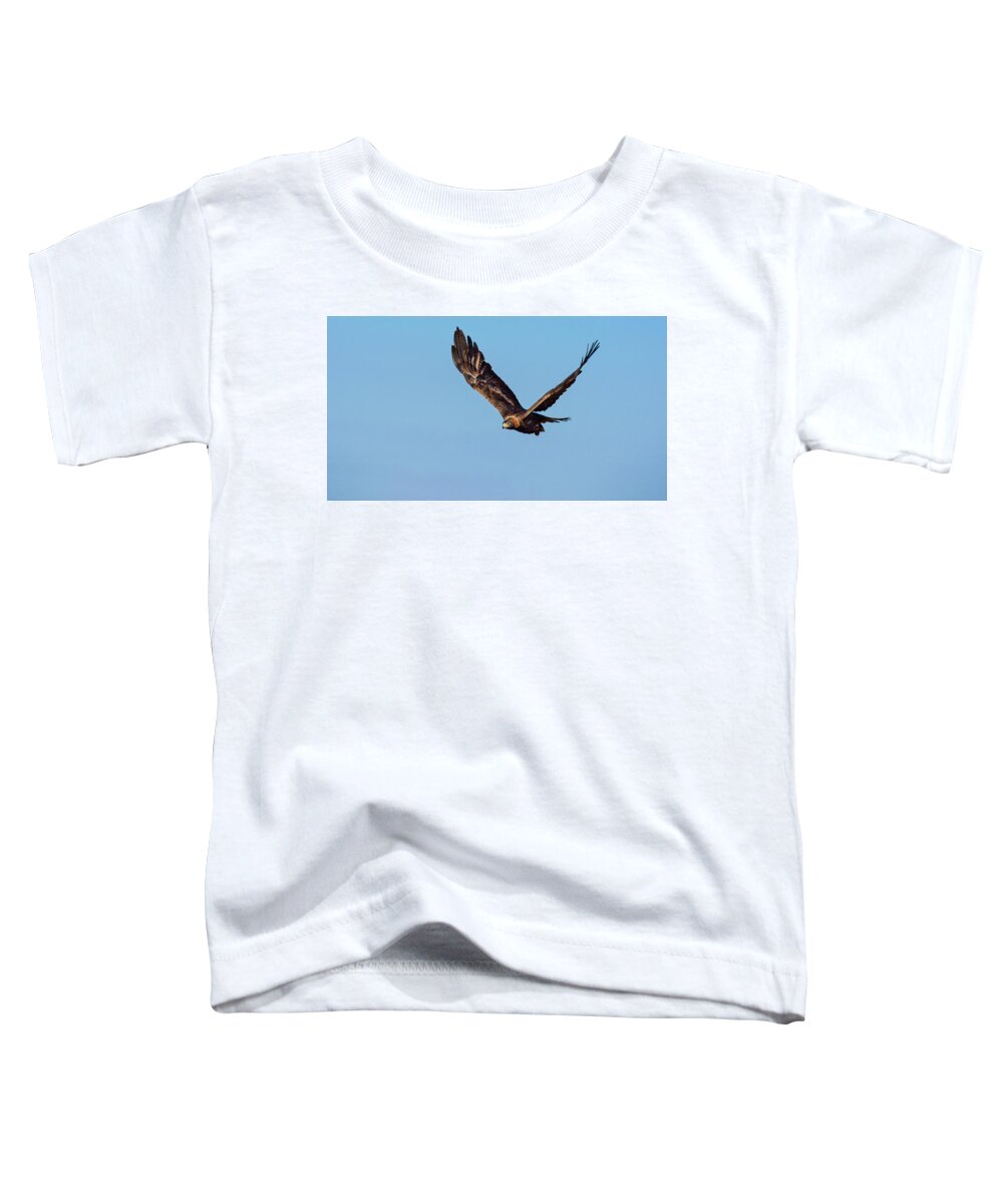 Raptor Toddler T-Shirt featuring the photograph Golden Eagle 2 by Rick Mosher