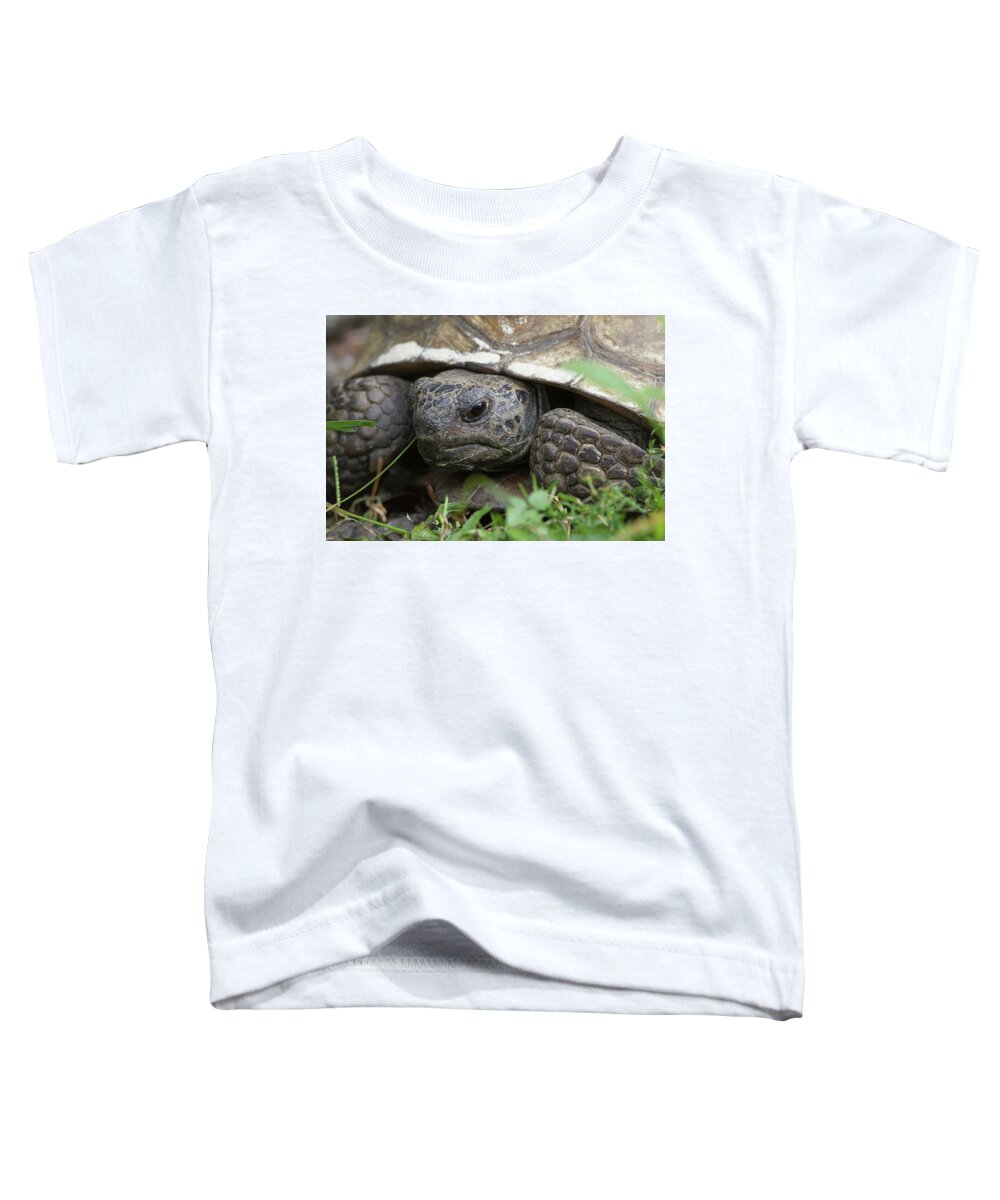 Gopher Toddler T-Shirt featuring the photograph Gopher Tortoise #1 by Paul Rebmann