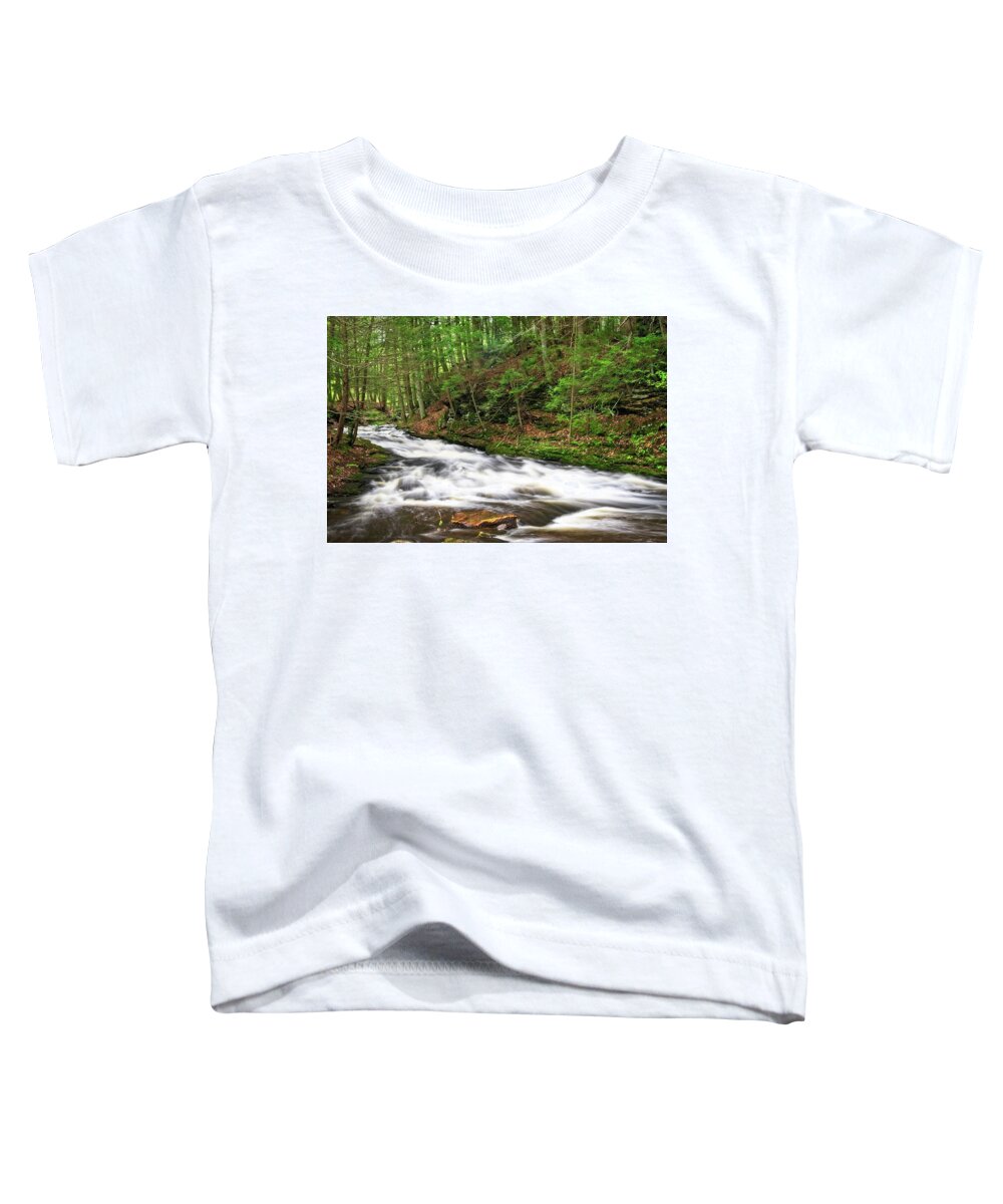 Waterfall Toddler T-Shirt featuring the photograph Grayville Cascades Runout by Allan Van Gasbeck