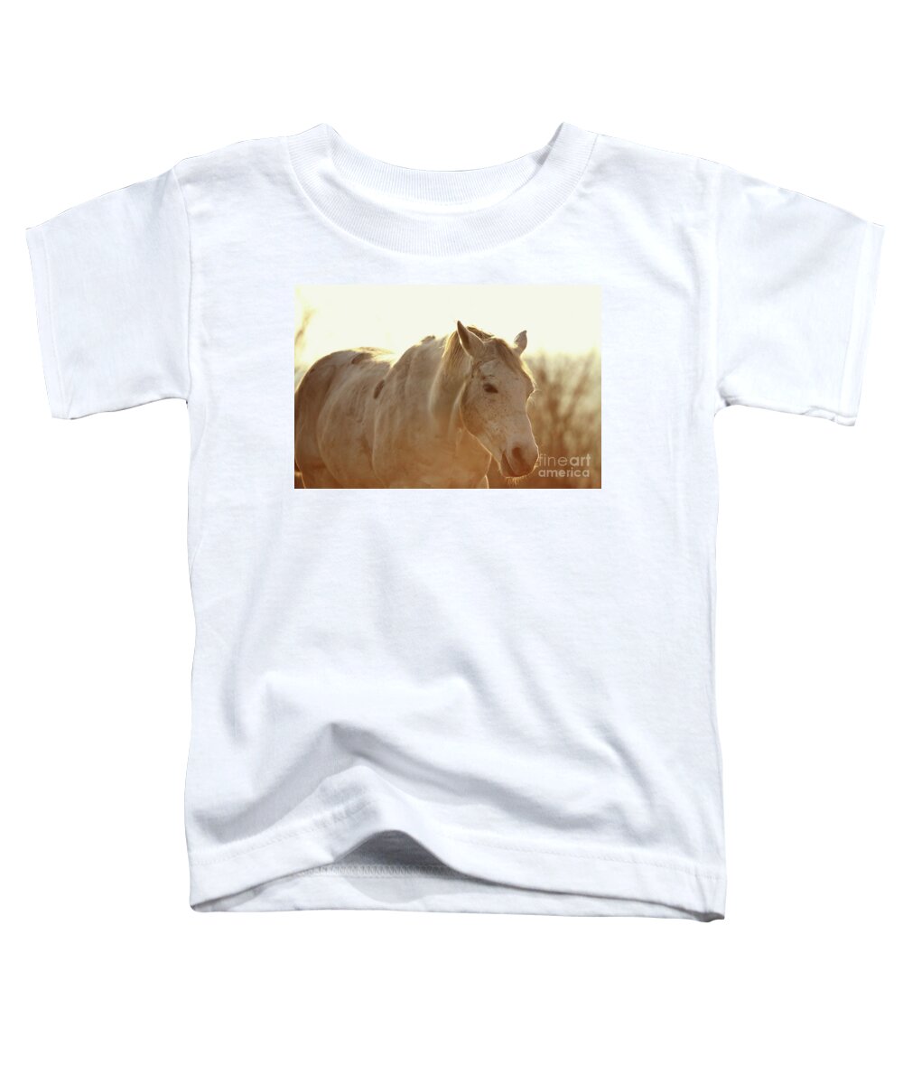 Horse Toddler T-Shirt featuring the photograph Grazing Horse by Dimitar Hristov