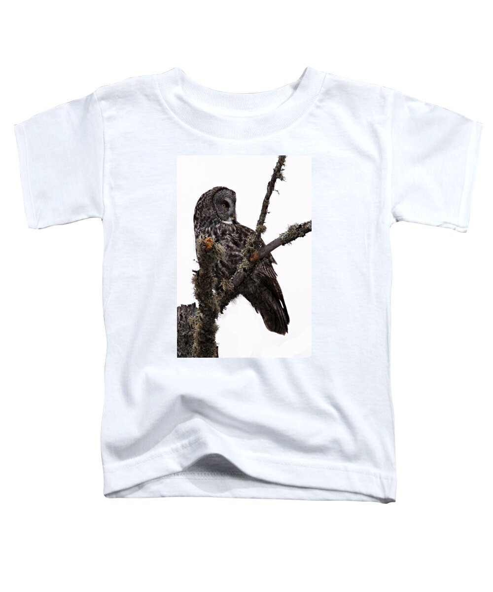 Photography Toddler T-Shirt featuring the photograph Great Grey Owl by Larry Ricker