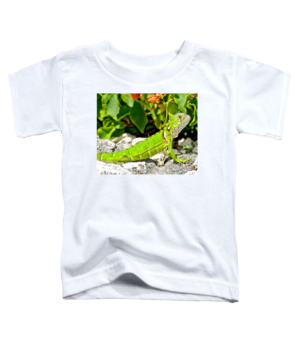 Lizard Toddler T-Shirt featuring the photograph Green Iguana by Amy McDaniel