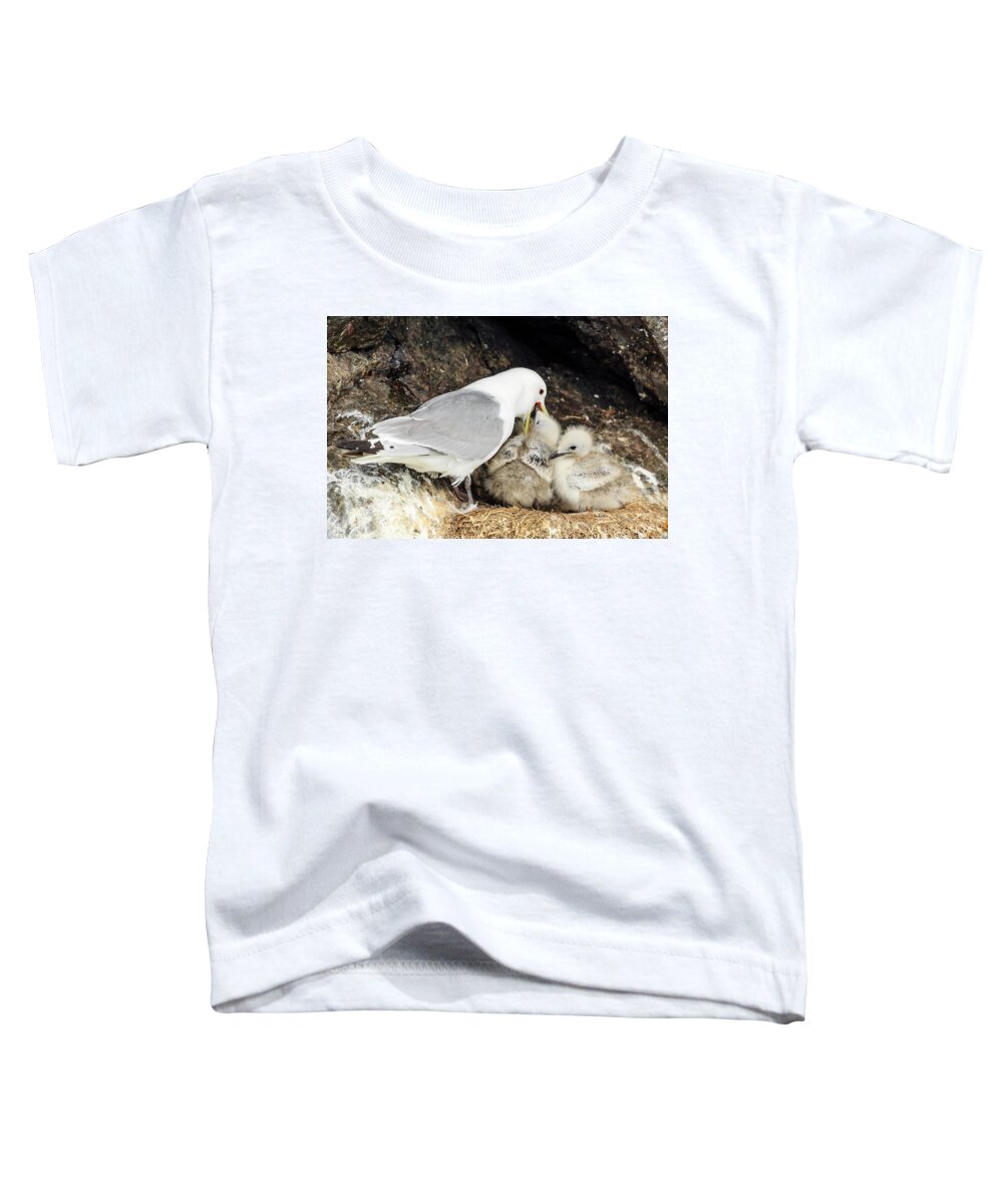 Alaska Toddler T-Shirt featuring the photograph Gull Chicks Being Fed by Joni Eskridge
