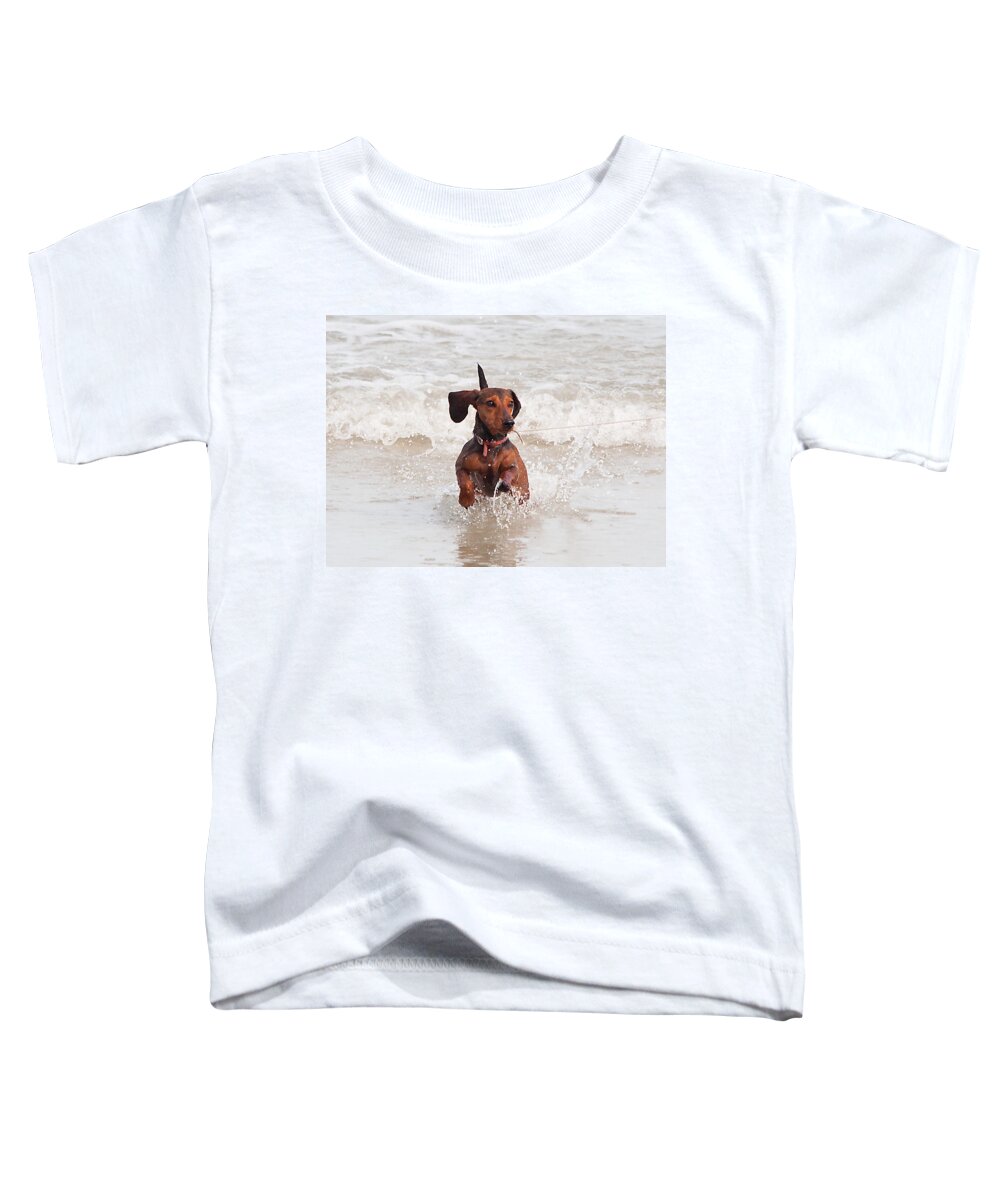 Scenery Toddler T-Shirt featuring the photograph Happy Surf Dog by Kenneth Albin