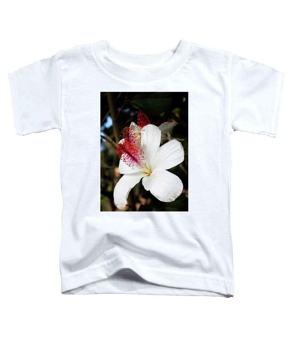 Hawaiian Toddler T-Shirt featuring the photograph Hawaiian Hibiscus by Joann Copeland-Paul