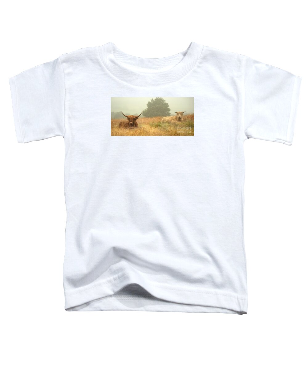 Cows Toddler T-Shirt featuring the photograph Heelans In The Mist by Linsey Williams