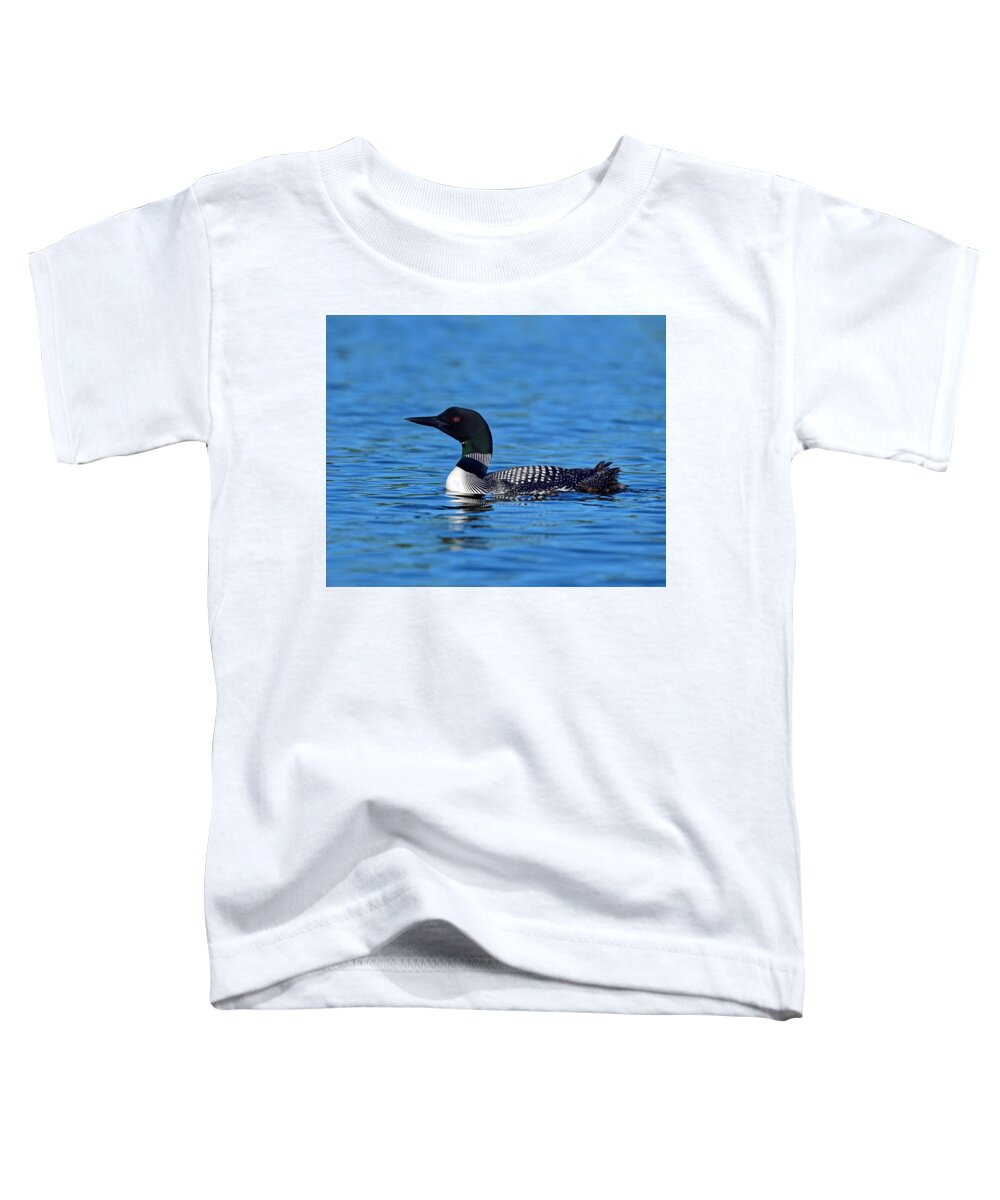 Common Loon Toddler T-Shirt featuring the photograph Home by Tony Beck