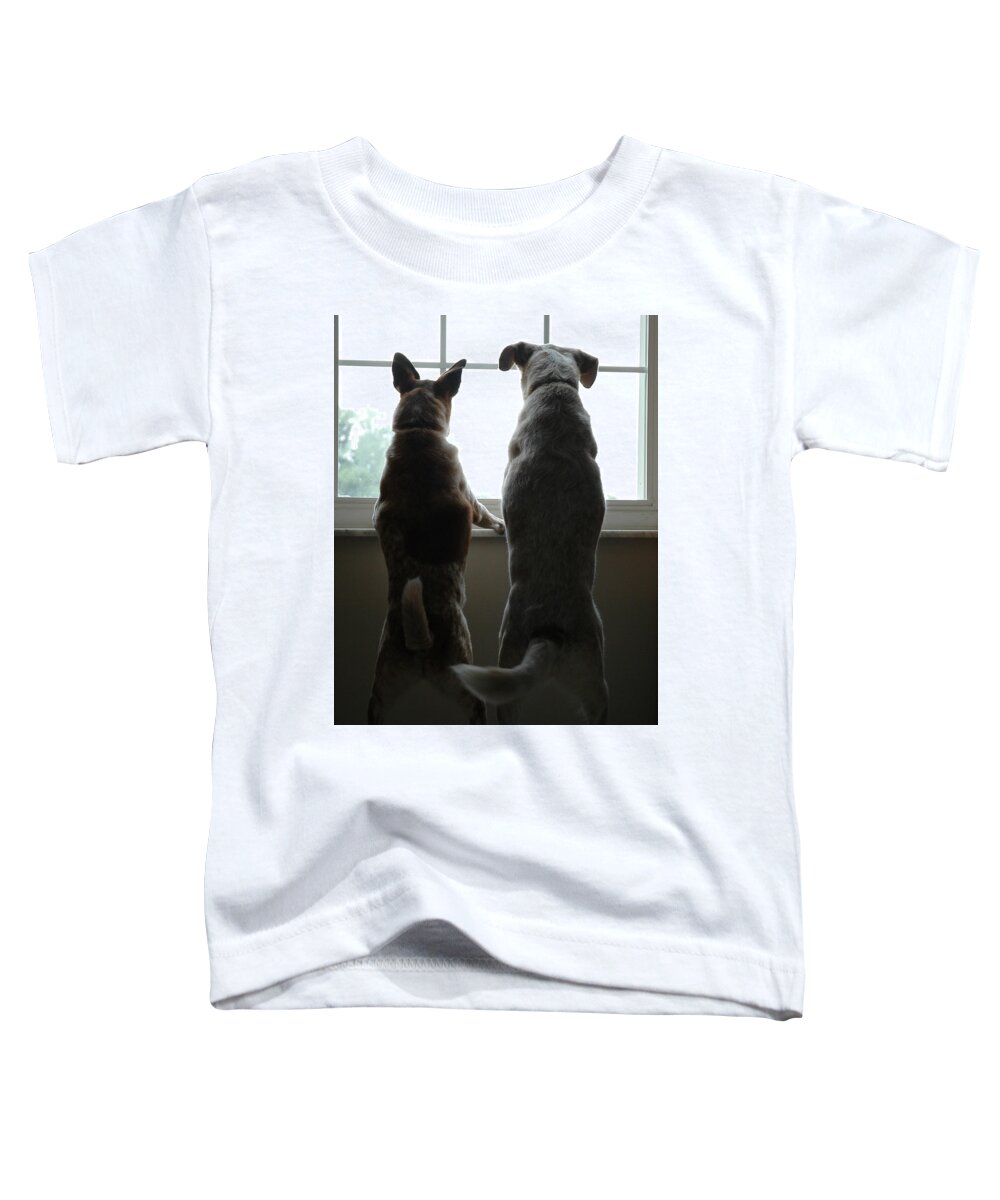 Dogs Toddler T-Shirt featuring the photograph Hope You Get What You are Looking For by Roberta Kayne