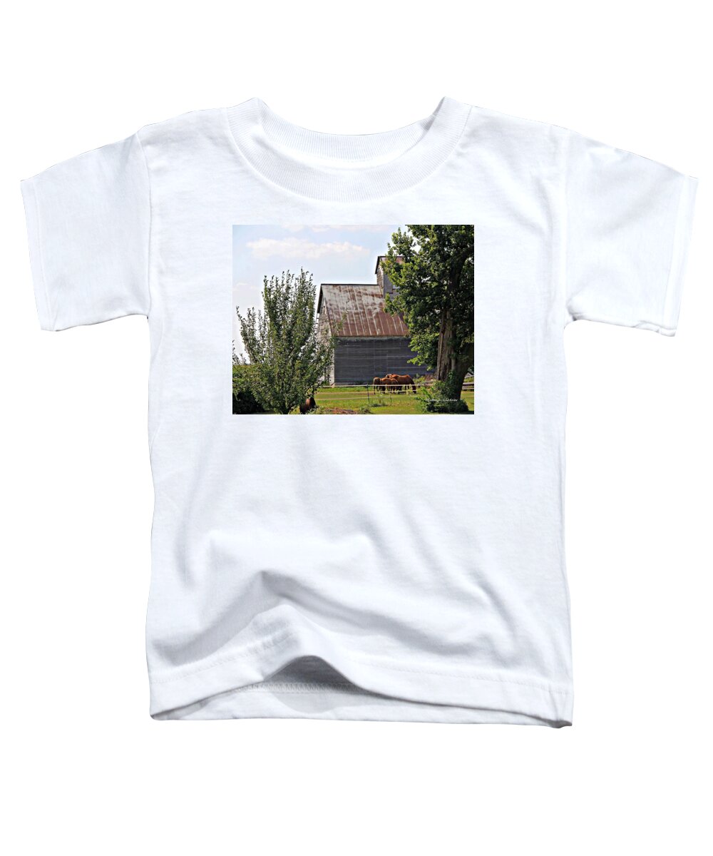 Barn Toddler T-Shirt featuring the photograph Horse Haven by Matalyn Gardner