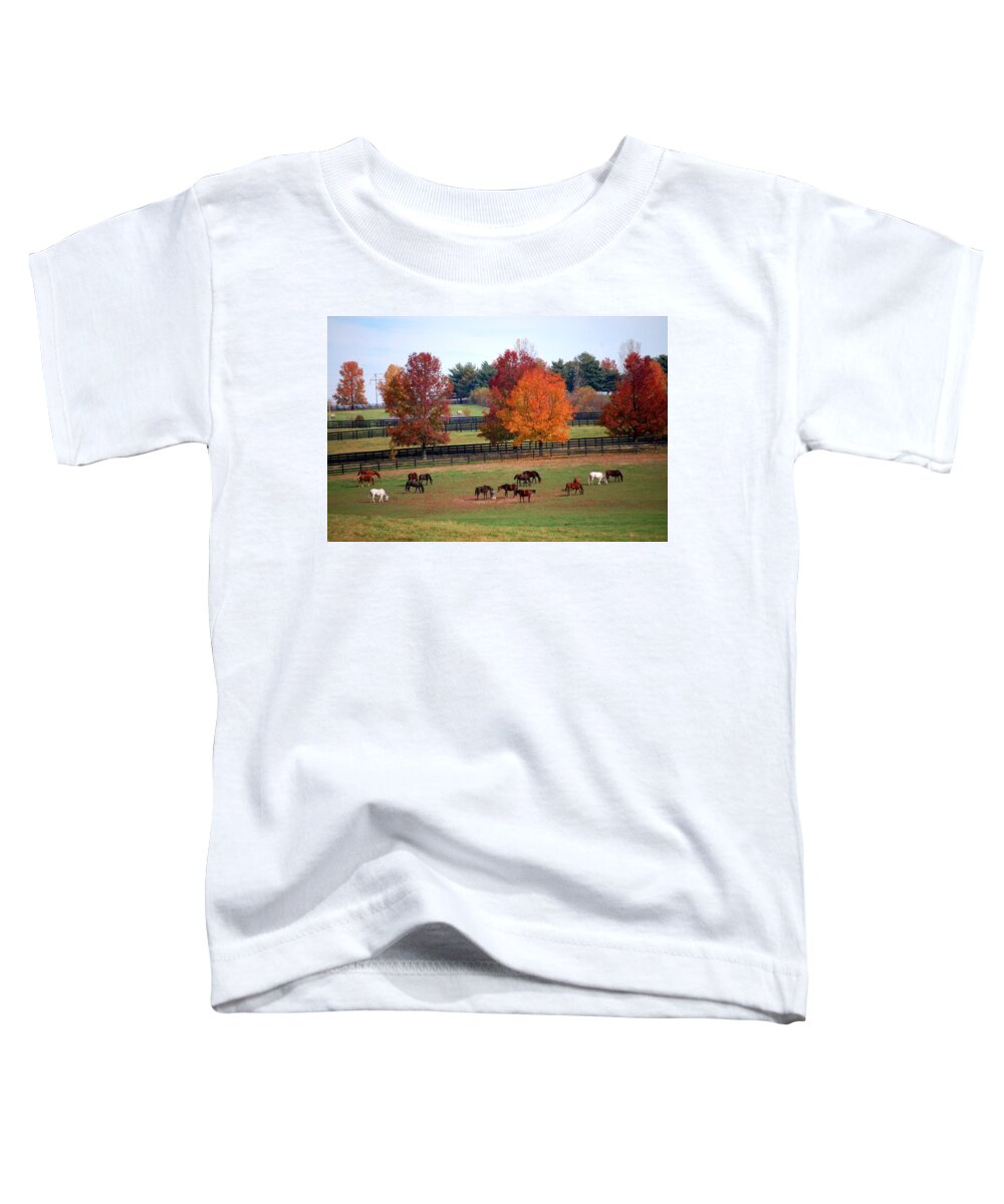 Horses Toddler T-Shirt featuring the photograph Horses Grazing in the Fall by Sumoflam Photography