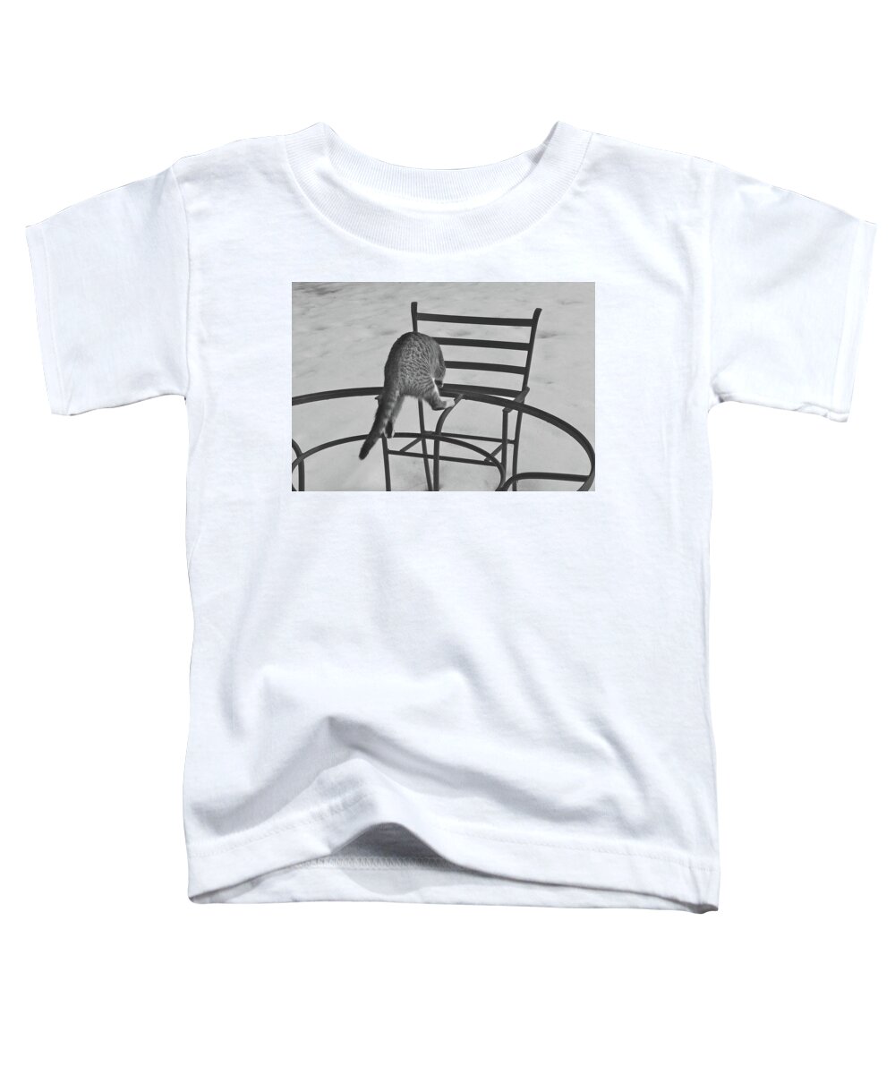 Lawn Furniture Toddler T-Shirt featuring the photograph Housesitting 17 by George Ramos