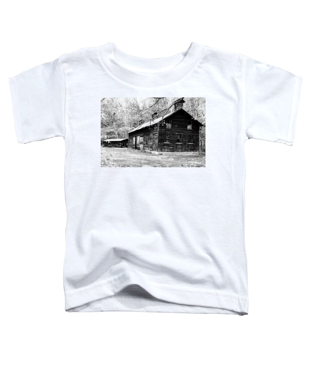  Toddler T-Shirt featuring the photograph How easily time forgets. by Pamela Taylor