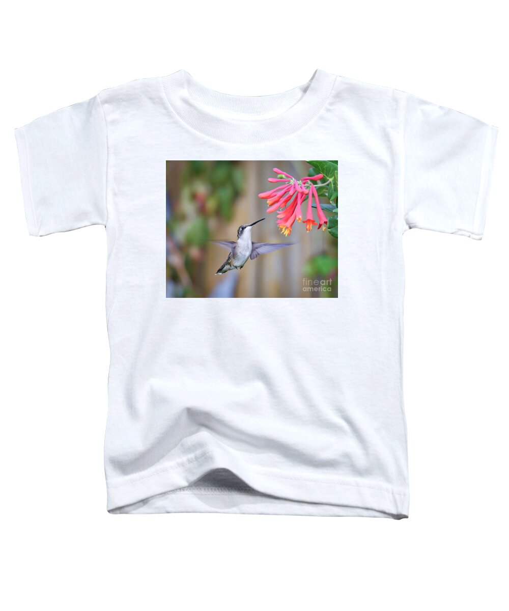 Hummingbird Toddler T-Shirt featuring the photograph Hummingbird Happiness 2 by Kerri Farley