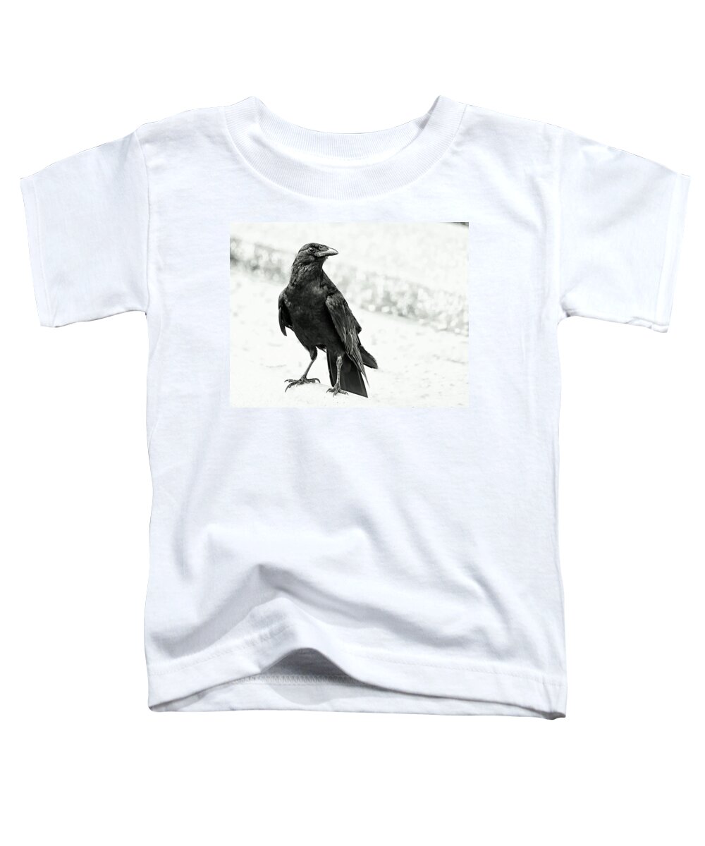 Crow Toddler T-Shirt featuring the photograph I Spy by Stoney Lawrentz